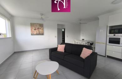 LOCATION T2 meublé avec jardin EAU - EDF - Jardin inclus dans le loyer - 1150€