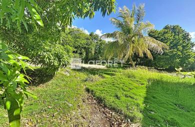 Vente Terrain 430m² Sainte Anne