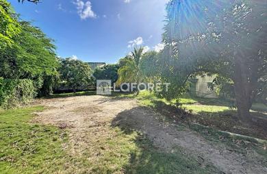 Vente Terrain 430m² Sainte Anne