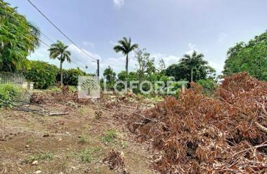 Vente Terrain 500m² Petit-Bourg