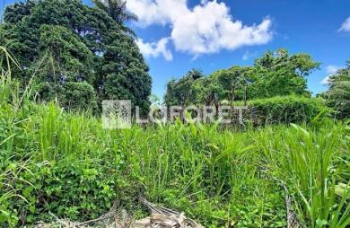 Vente Terrain 500m² Petit-Bourg