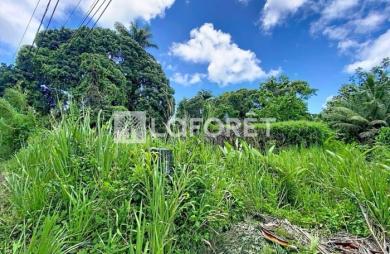 Vente Terrain 500m² Petit-Bourg