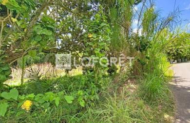Vente Terrain 500m² Petit-Bourg