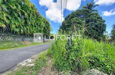 Vente Terrain 500m² Petit-Bourg