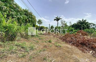 Vente Terrain 500m² Petit-Bourg