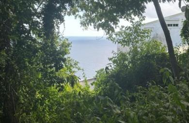 Vente Terrain 2220m&sup2; Vieux Fort