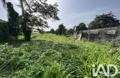 Vente Terrain 1250m&sup2; Capesterre Belle Eau