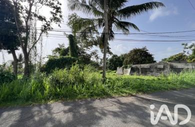Vente Terrain 1250m&sup2; Capesterre Belle Eau
