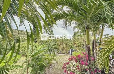 Location Appartement 35m² 1 pièce Sainte Anne