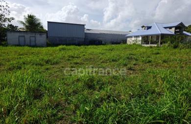 Vente Terrain 800m&sup2; Sainte Rose