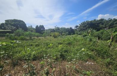 A SAISIR! Lotissement résidentiel de constructeur de 10 lots