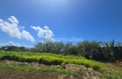 Vente Terrain 780m² Trois Rivières