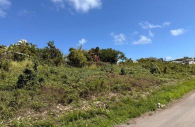 Vente Terrain 605m&sup2; Sainte Anne