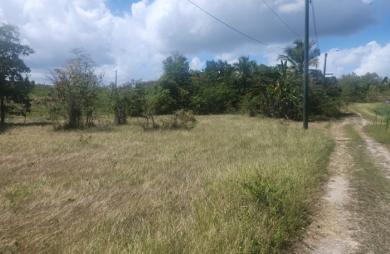 Vente Terrain 1000m&sup2; Sainte Anne