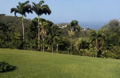 Vente Terrain 2299m&sup2; Bouillante