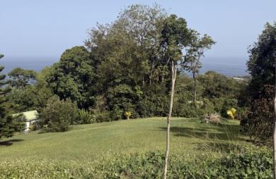 Vente Terrain 2299m&sup2; Bouillante