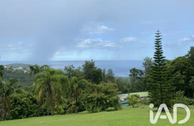 Vente Terrain 2299m&sup2; Bouillante