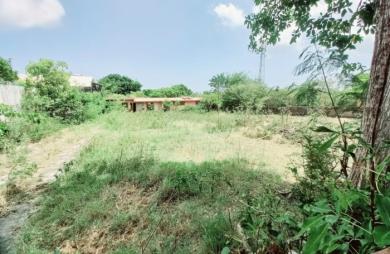Vente Maison 200m&sup2; 7 pièces Sainte Anne
