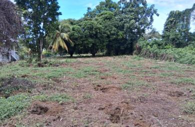 CAPESTERRE Terrain 2763 M2 