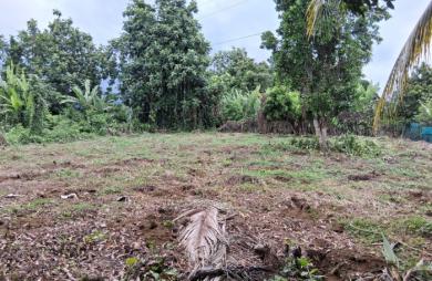 CAPESTERRE Terrain 2763 M2 