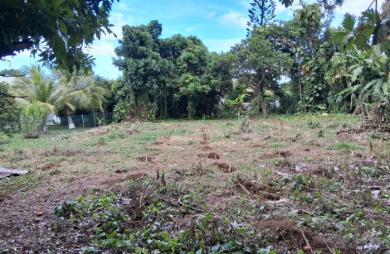 CAPESTERRE Terrain 2763 M2 
