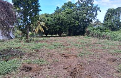 CAPESTERRE Terrain 2763 M2 