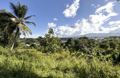 Terrain de 1630m2 à vendre 137000 € à Petit-Bourg
