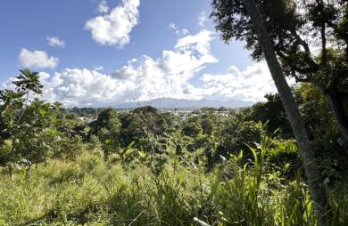 Terrain de 1630m2 à vendre 137000 € à Petit-Bourg