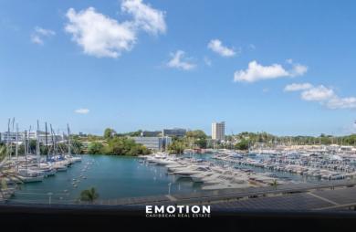 Appartement T2   53,48 m2, vue marina et mer + grand box fermé de 15 m2 + une cave de 4,5 m2 - Marina du Gosie