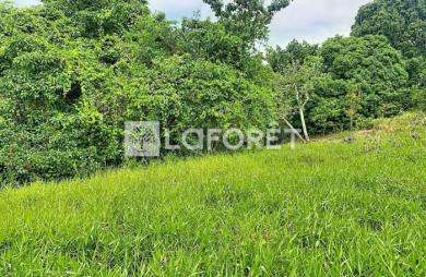 Vente Terrain 4399m² Les Abymes