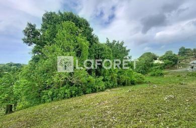 Vente Terrain 4399m² Les Abymes