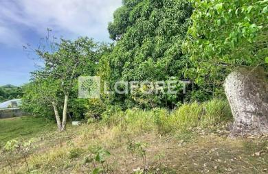 Vente Terrain 4399m² Les Abymes