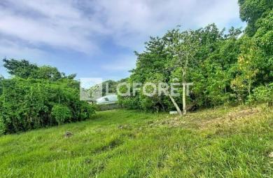 Vente Terrain 4399m² Les Abymes