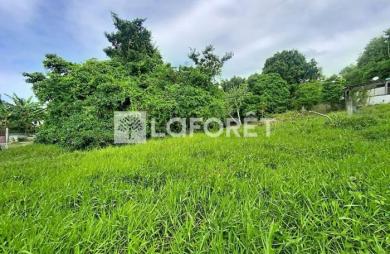 Vente Terrain 4399m² Les Abymes