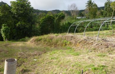GOURBEYRE Terrain de 1200m2