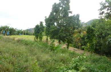 GOURBEYRE Terrain de 1200m2