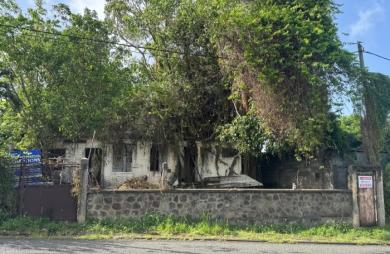 À vendre   Terrain constructible de 2999 m2 à Basse-Terre
