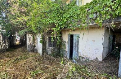 À vendre   Terrain constructible de 2999 m2 à Basse-Terre