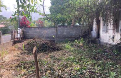 À vendre   Terrain constructible de 2999 m2 à Basse-Terre
