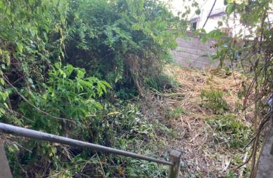 À vendre   Terrain constructible de 2999 m2 à Basse-Terre