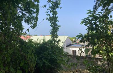 À vendre   Terrain constructible de 2999 m2 à Basse-Terre