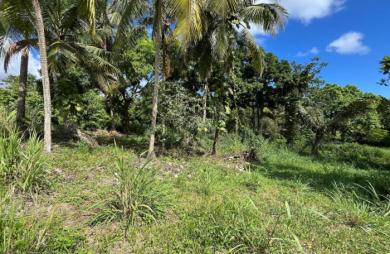 Vente Terrain 1334m&sup2; Sainte Rose