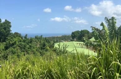 Vente Terrain 1111m&sup2; Gourbeyre