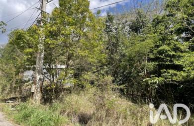 Vente Terrain 11265m&sup2; Deshaies