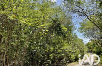 Vente Terrain 11265m&sup2; Deshaies