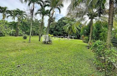 Vente Terrain 454m² Baie Mahault