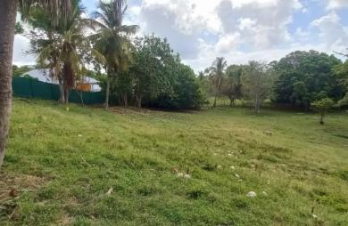 Vente Terrain 968m&sup2; Gosier