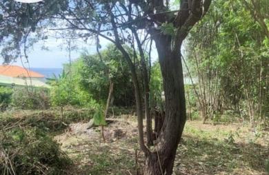 Vente Terrain 584m&sup2; Bouillante