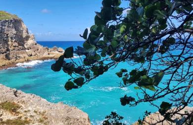 MARIE-GALANTE   Ensemble immobilier vue mer 180o : villa + 3 bungalows + terrain constructible