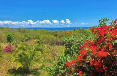 MARIE-GALANTE   Ensemble immobilier vue mer 180o : villa + 3 bungalows + terrain constructible